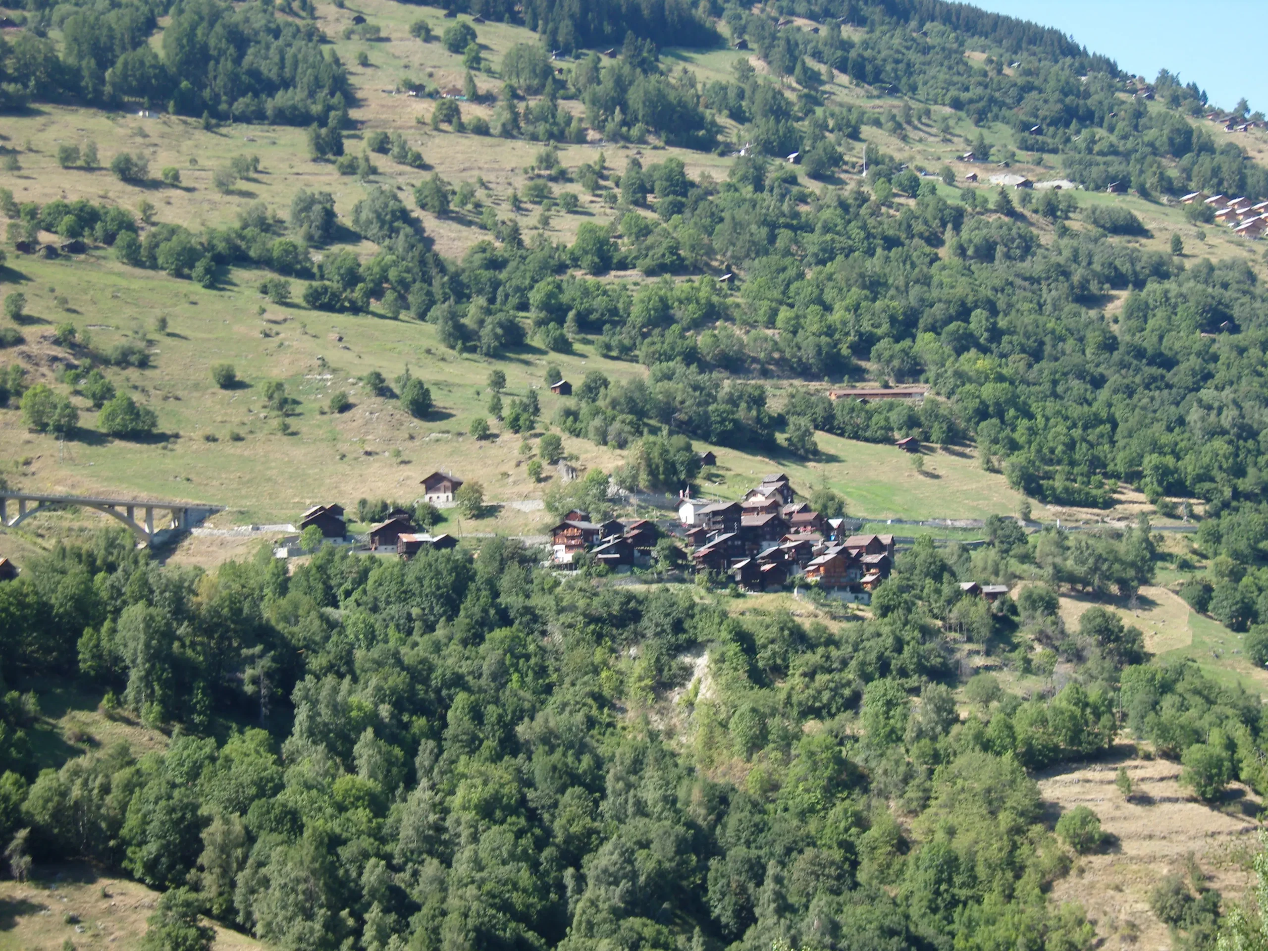 avancee foret Val d'herens