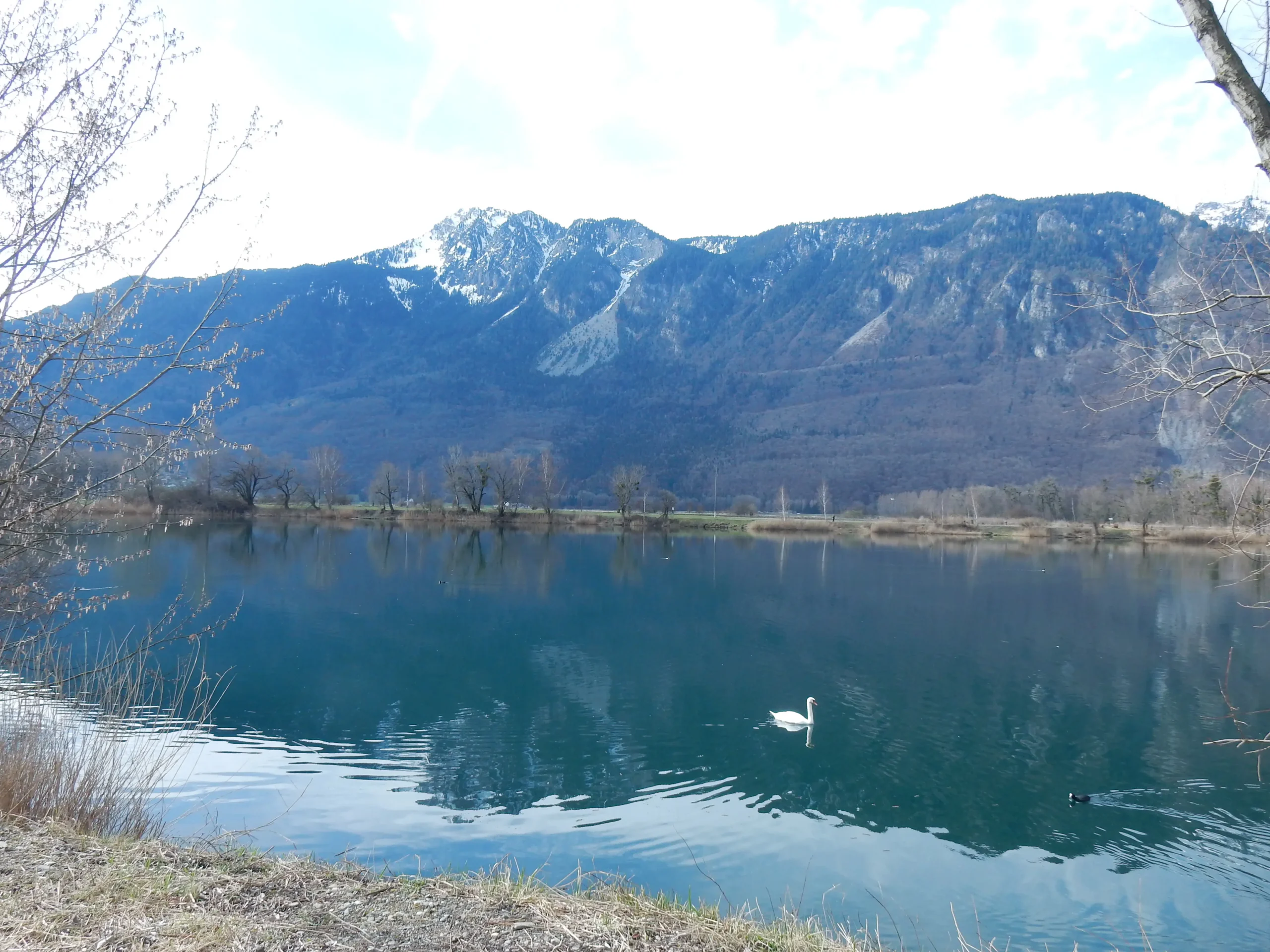 Paysage d'eau domaine du rhône