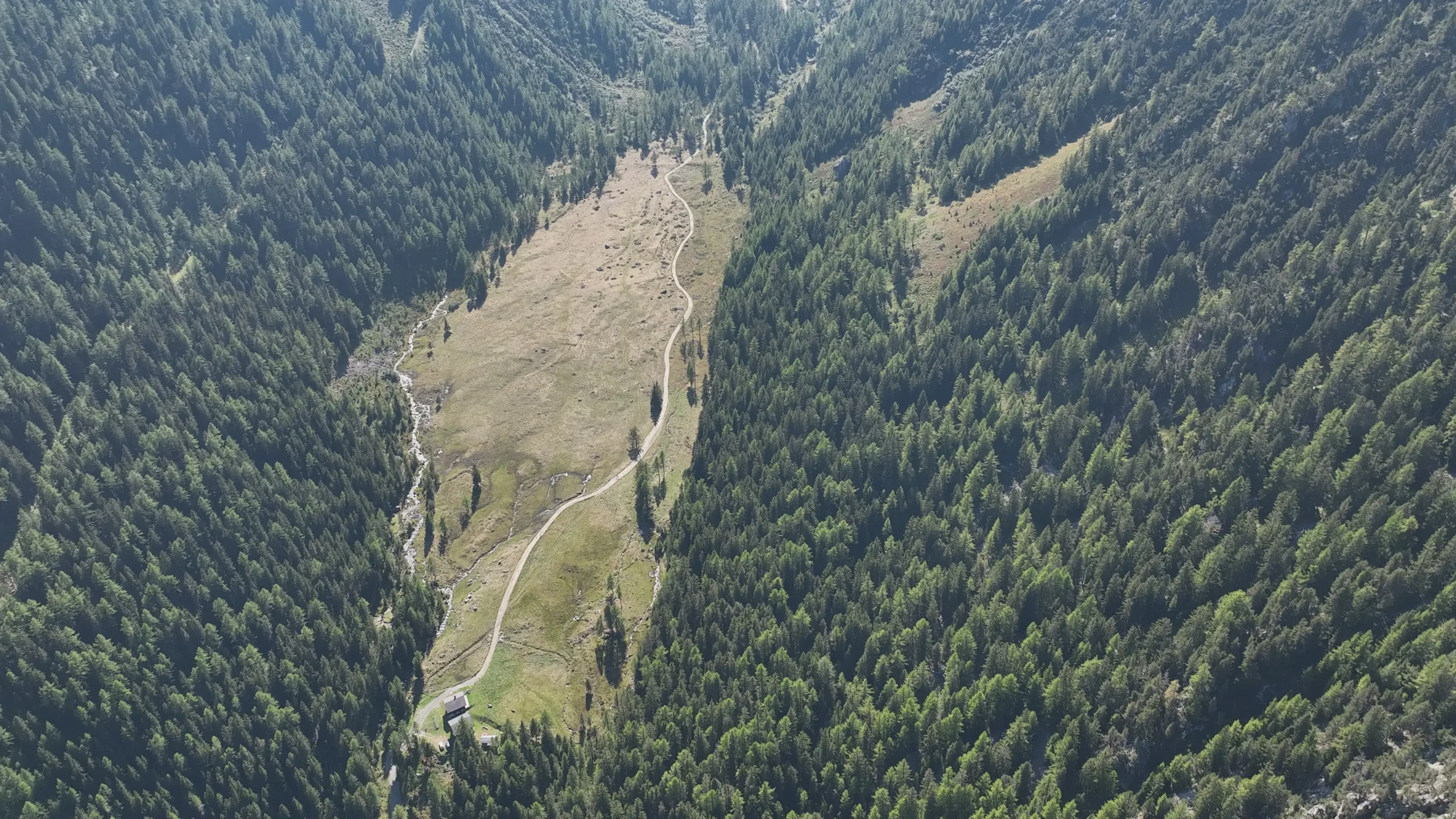 Reserve forestiere val d'arpette