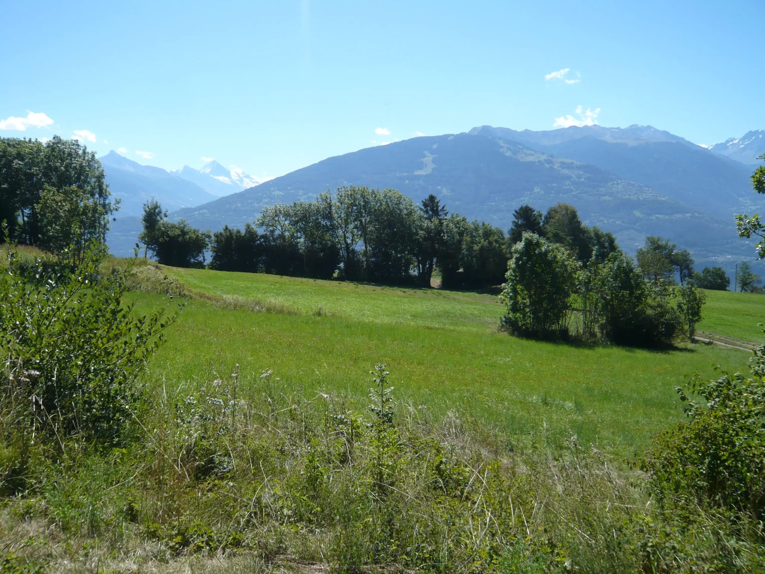 paysage agricole herbage