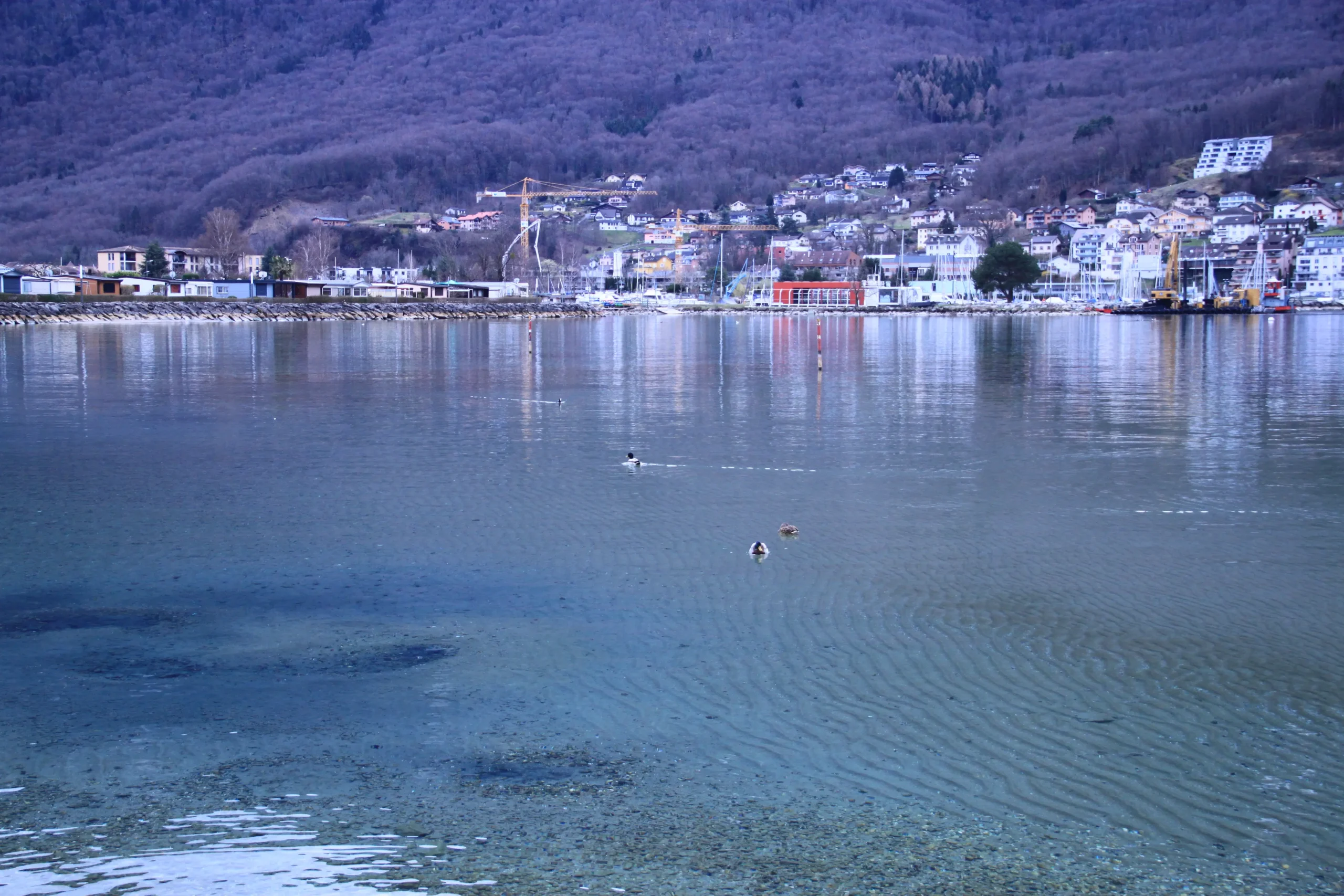 paysage d'eau rives du léman